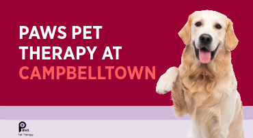 A friendly golden retriever dog with a text that reads “Paws Pet Therapy at Campbelltown” on a red background.